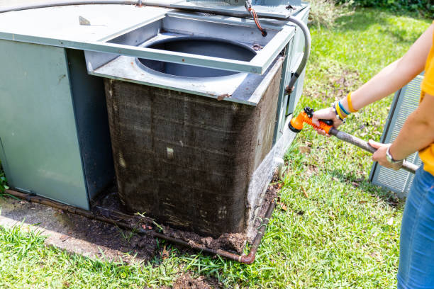 Best HVAC System Cleaning  in Wailua, HI
