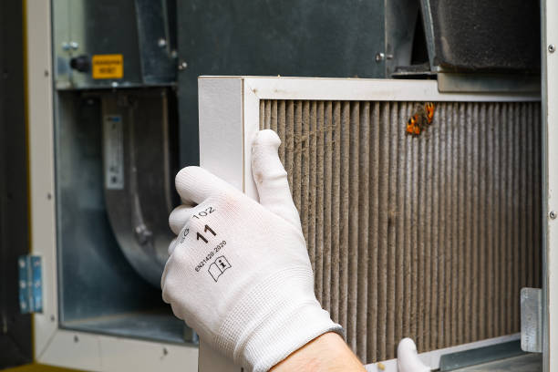 Best HVAC Duct Inspection Services  in Wailua, HI
