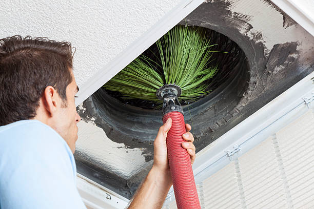 Best Professional Duct Cleaning Services  in Wailua, HI