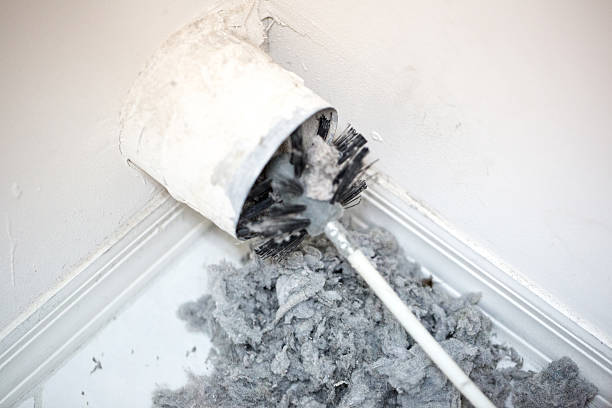 Best HVAC Duct Inspection Services  in Wailua, HI